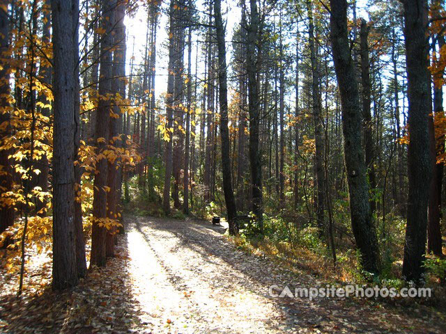 Otter River State Forest 003