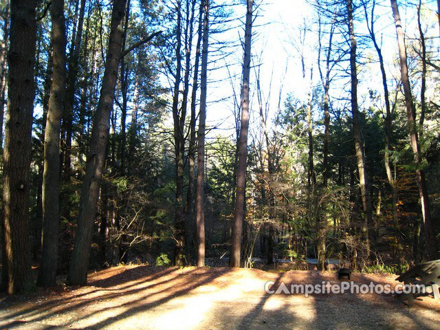 Otter River State Forest 006