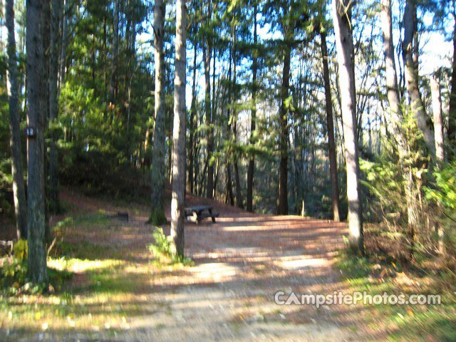 Otter River State Forest 012