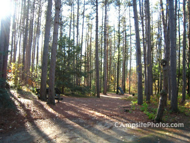 Otter River State Forest 015