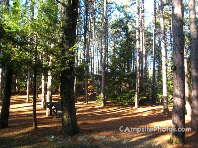 Otter River State Forest 016