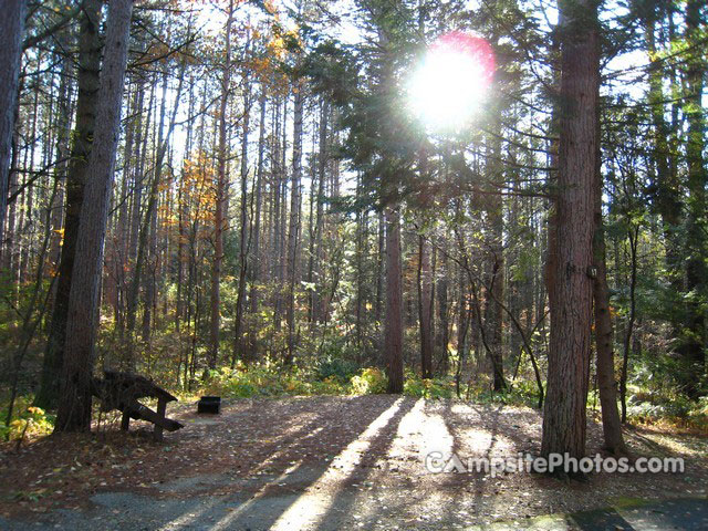 Otter River State Forest 017