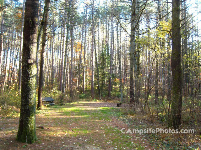 Otter River State Forest 018