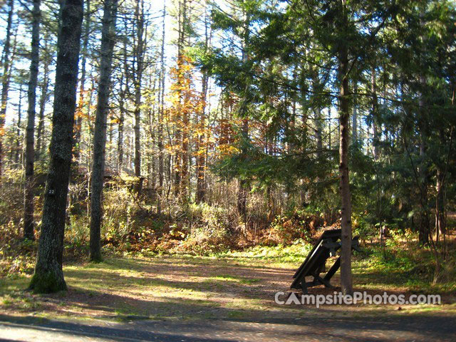 Otter River State Forest 022