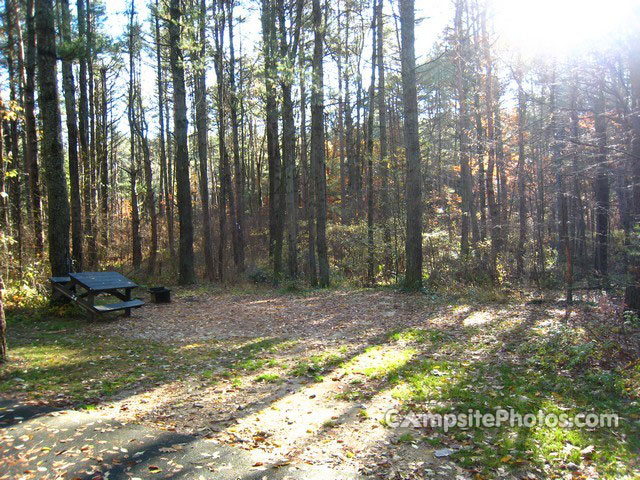 Otter River State Forest 024