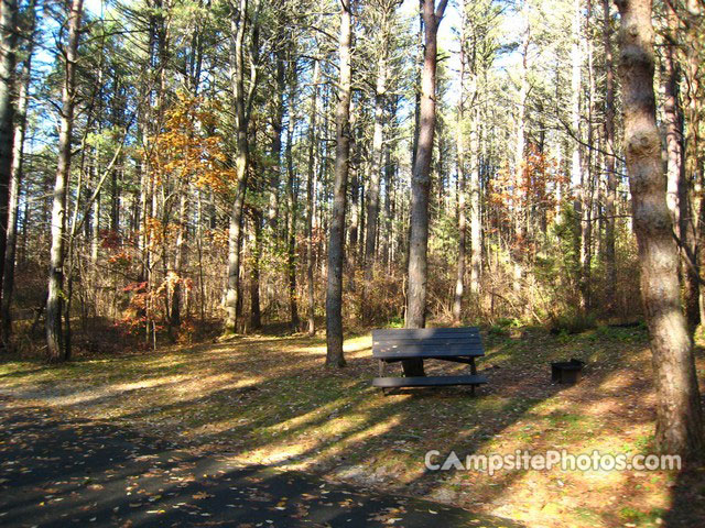Otter River State Forest 025