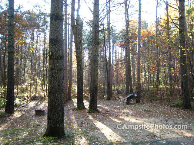Otter River State Forest 026