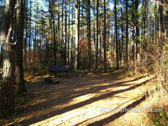 Otter River State Forest 027