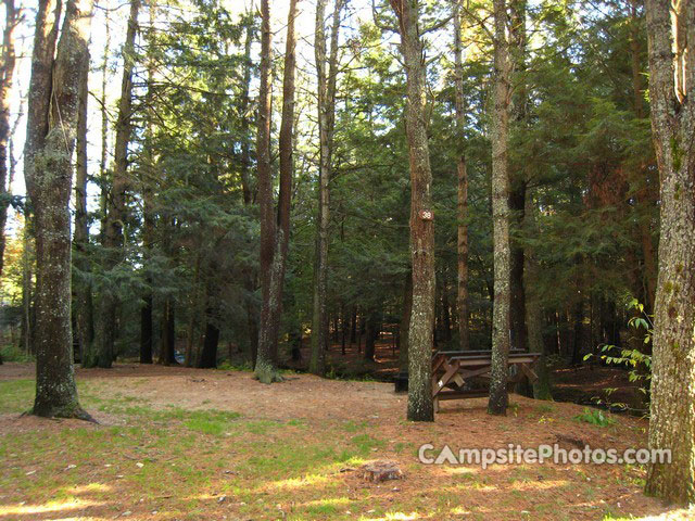 Otter River State Forest 038