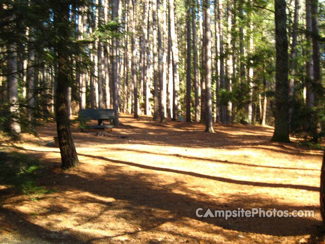 Otter River State Forest 042