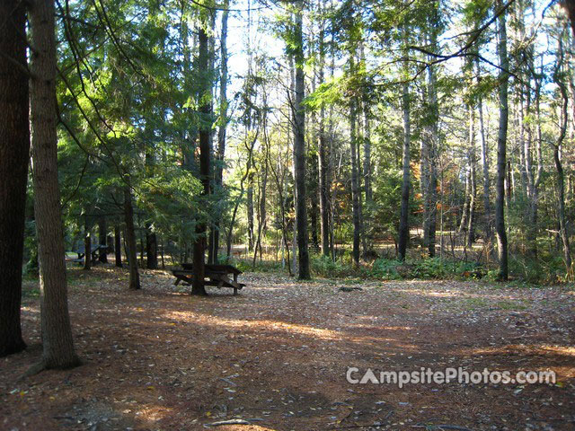 Otter River State Forest 047