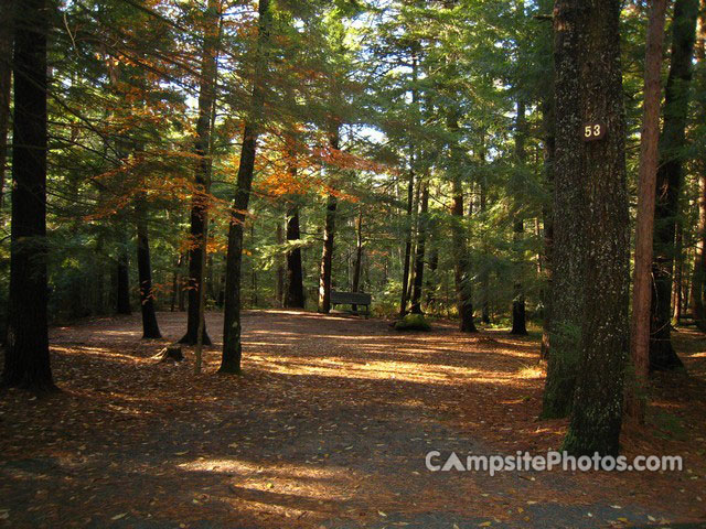 Otter River State Forest 053