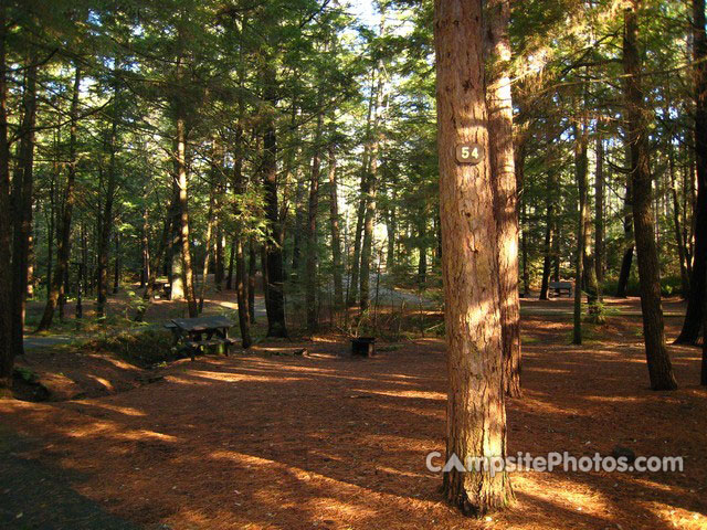Otter River State Forest 054