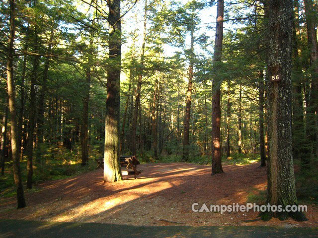 Otter River State Forest 056