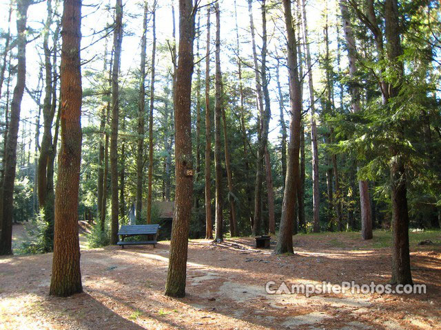 Otter River State Forest 062
