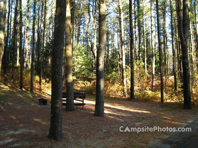 Otter River State Forest 066