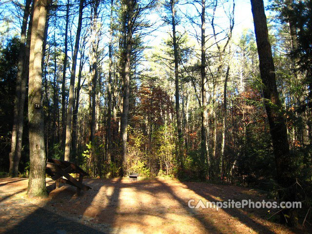 Otter River State Forest 071