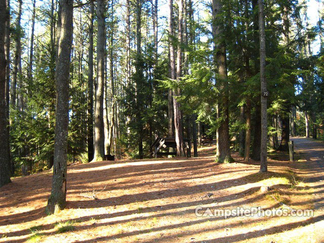 Otter River State Forest 072