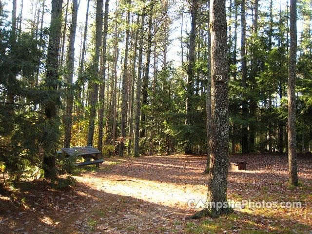 Otter River State Forest 073