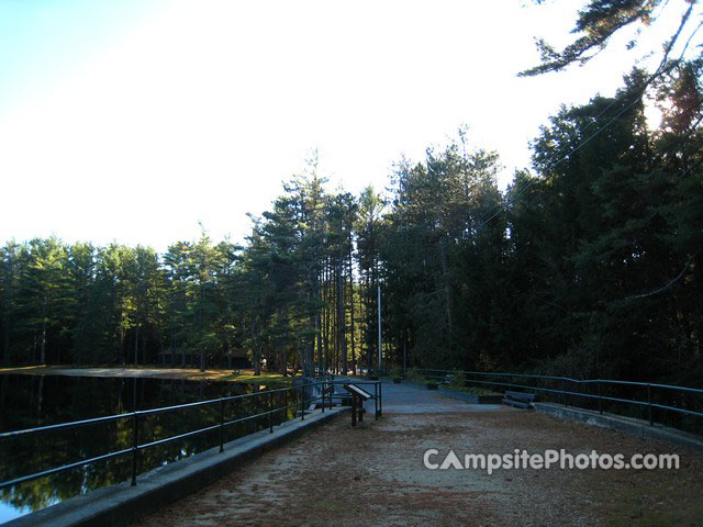 Otter River State Forest Bridge-To-Day-Use