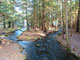 Otter River State Forest River1