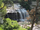 Steer Creek Snake River Falls