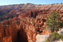 Bryce Canyon National Park View 002