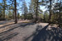 Bryce Canyon North 077