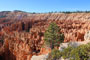 Bryce Canyon National Park View 001