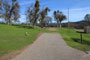 Tuttletown Recreation Area Manzanita 073