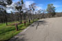 Tuttletown Recreation Area Manzanita 074