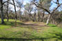 Tuttletown Recreation Area Manzanita 084