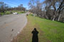 Tuttletown Recreation Area Manzanita 085