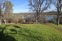 Tuttletown Recreation Area Manzanita 088