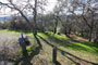 Tuttletown Recreation Area Manzanita 097