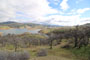 Barrett Cove Lake McClure View