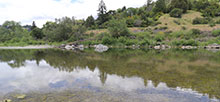 Benbow Lake SRA