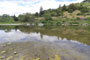 Benbow Lake SRA Eel River View 2