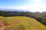 Mount Tamalpais State Park View
