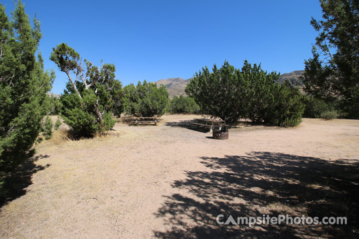 Mojave River Forks Regional Park 061