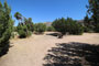 Mojave River Forks Regional Park 061