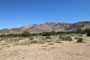 Mojave River Forks Regional Park View