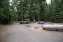 Pebble Ford Forest Camp 004