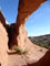 Arches National Park Devils Garden Tapestry Arch