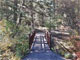 Black Canyon Trailhead Bridge