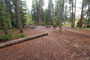 Pine Valley Group B Laural Camping Area 3