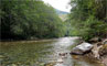 Beckler River Campground River Scenic