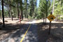 Yellowjacket Campground Bike Trail