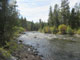 Lodgepole (Taylor River) View