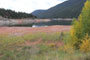 Mollie B Ruedi Reservoir View